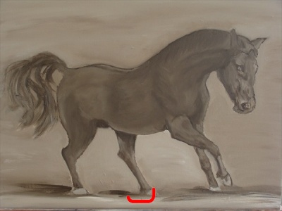 6. Paard Monty 40x50_6